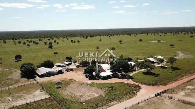 Área rural 47.000 ha - Dupla Aptidão