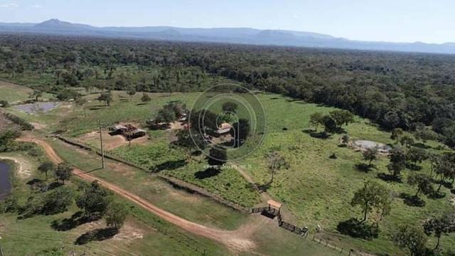 Fazenda em pocone - Foto 3
