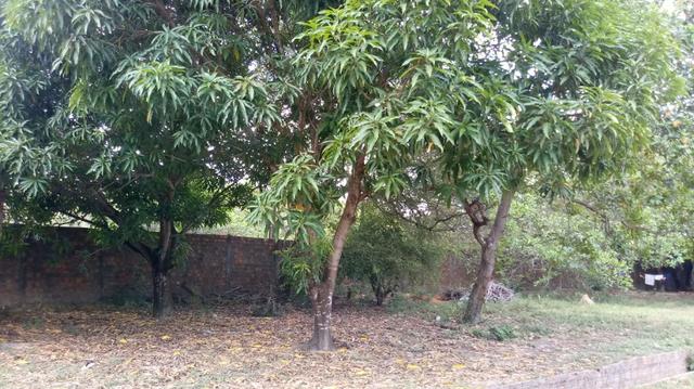 Terreno Vendo 50 x 100 - Foto 2