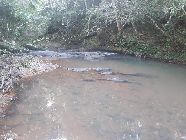 Sitio próximo do manso