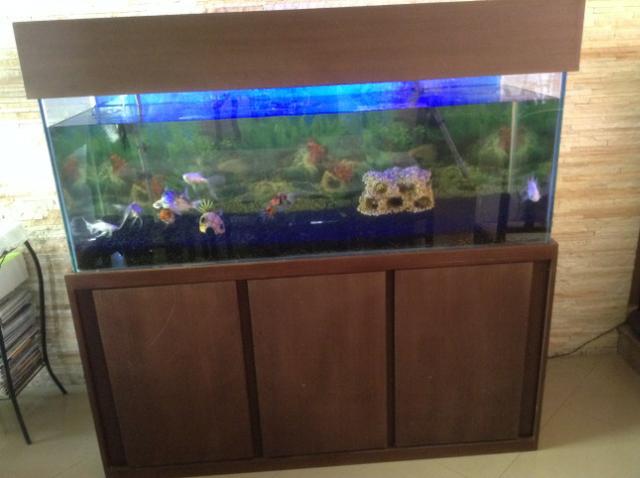 Vendo ou Troco Aquário Completo 450 litros. não tenho espaço para o aquário. - Foto 3