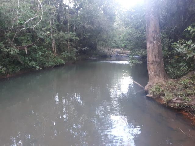 Sitio próximo do manso - Foto 9
