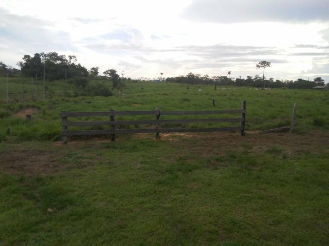 Vendesse um colônia estrada de porto acre ramal pira pora 28 km de ramal - Foto 5