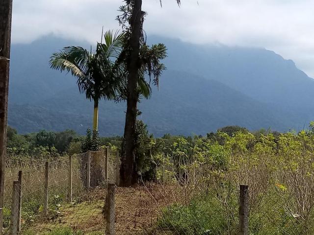 Chácara - Prox Centro - Morretes - Foto 2