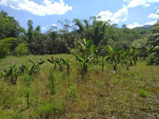Chácara com 5.500m² - América de Cima - Morretes - Foto 3