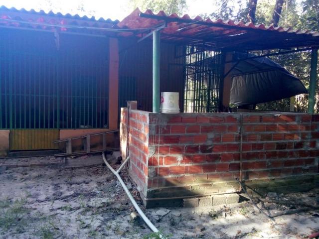 Chácara rural à venda, Zona Rural, Nova Crixás. - Foto 8