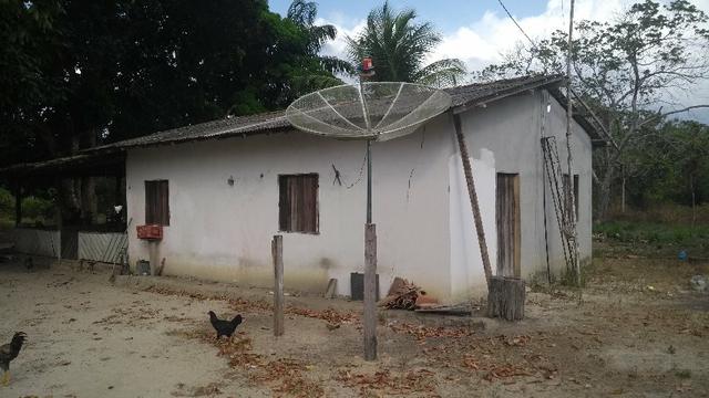 50 hectares a 25 km de castanhal por 250 mil zap * - Foto 2