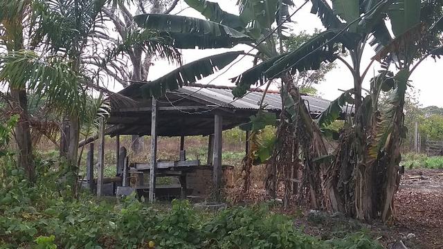 50 hectares a 25 km de castanhal por 250 mil zap * - Foto 12