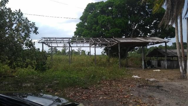 50 hectares a 25 km de castanhal por 250 mil zap * - Foto 16