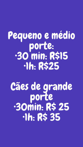Dog walker/ Passeador de cães - Foto 2