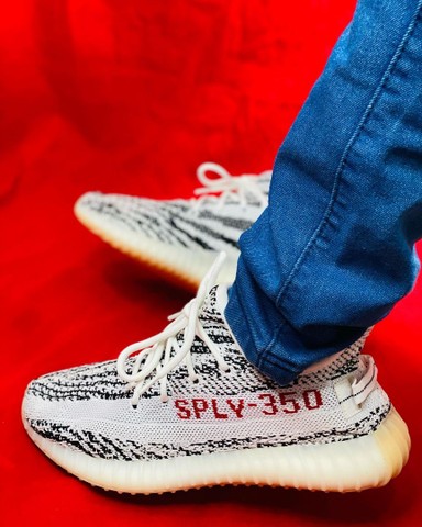 zebra yezzys