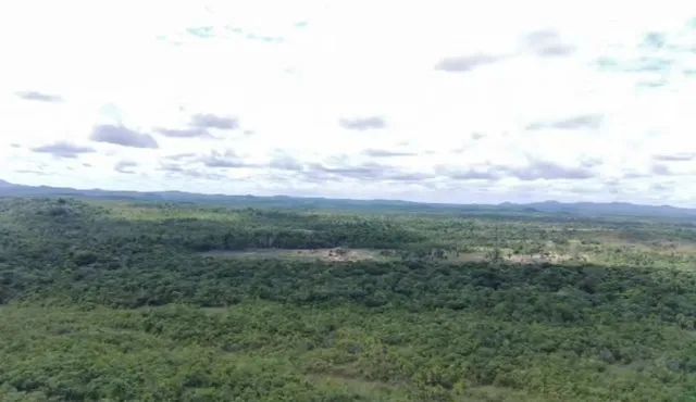 Terra barata 210 reais o hectare no Amazonas  - Foto 4