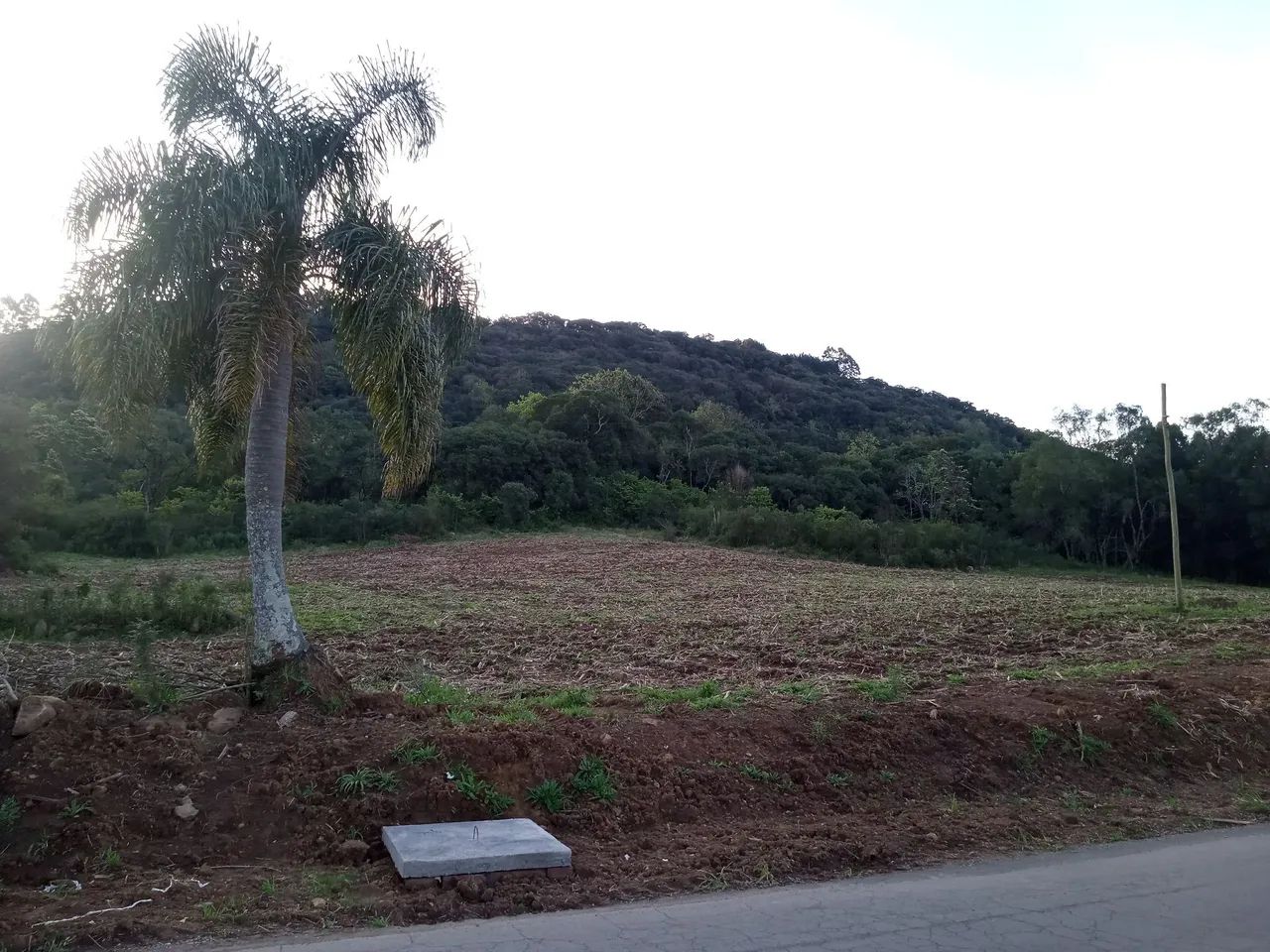 Área para investimento 2 a 7 hectares em Gramado  - Foto 2