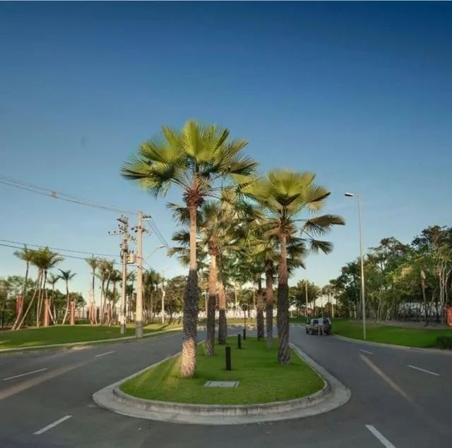 Lote quitado frente a praça e poente no Terras Alpha Ceará - Foto 2