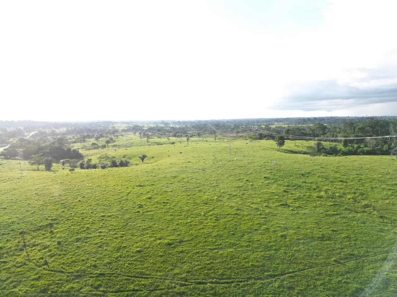 Fazenda metade do preço hoje - Foto 3