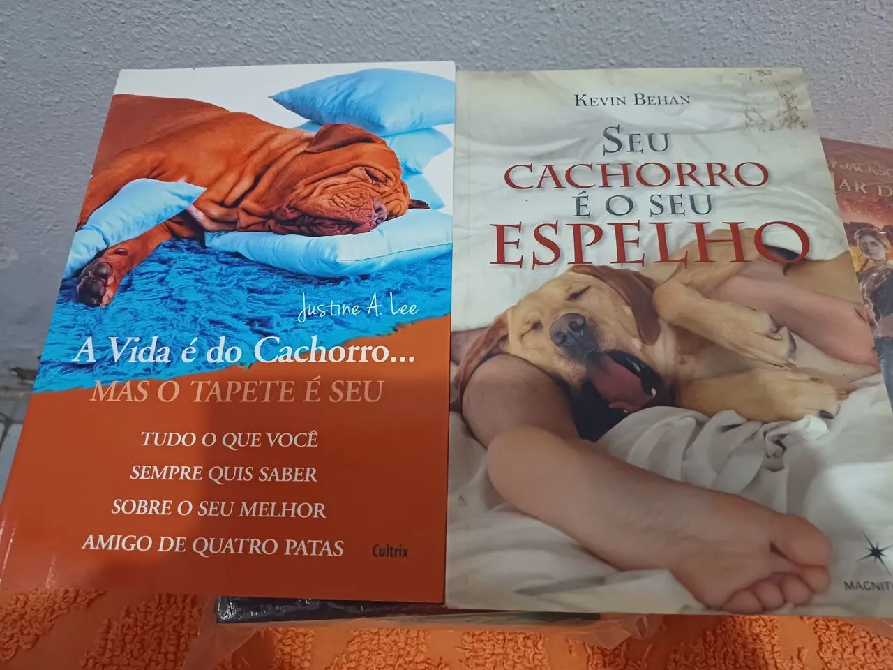 Livros sobre a vida com cães