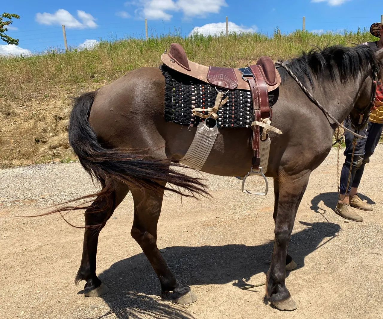 Vende-se cavalo montaria lobuno  - Foto 2