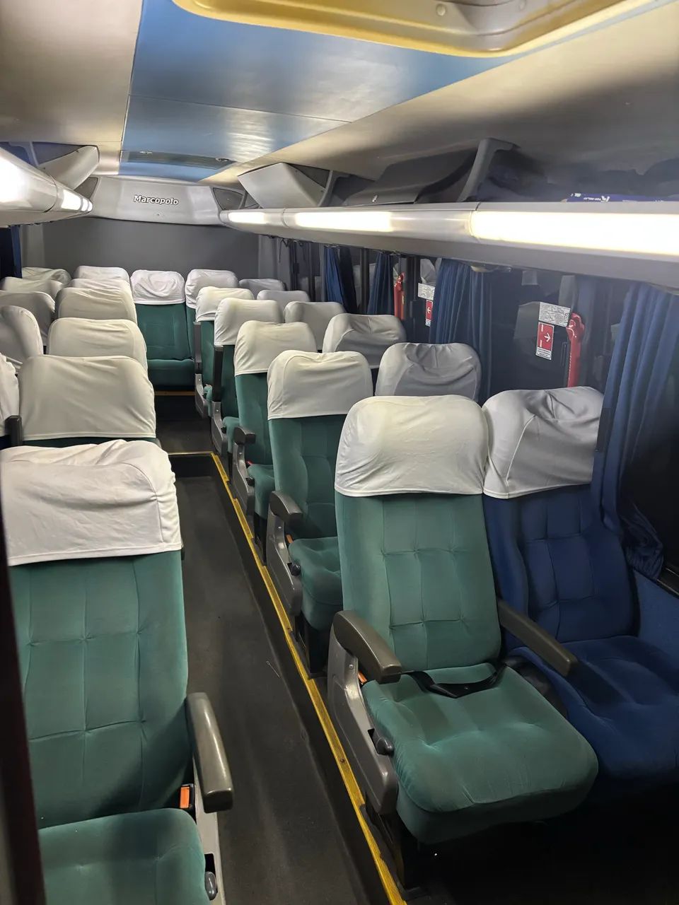 Macopolo senio  - Foto 2