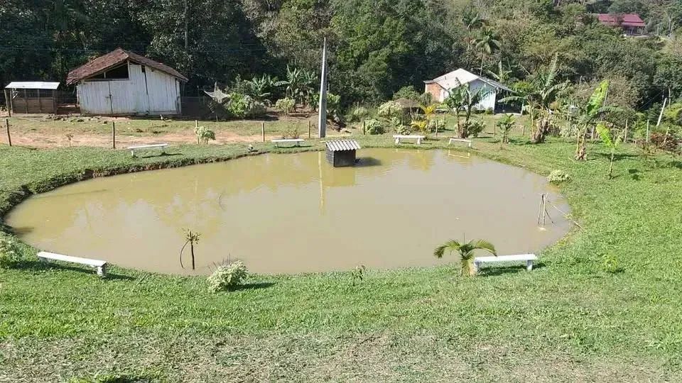 Lindo sítio de 5 hectares sendo 100x500 no bairro Espanha, três riacho Biguacu com casa. - Foto 12