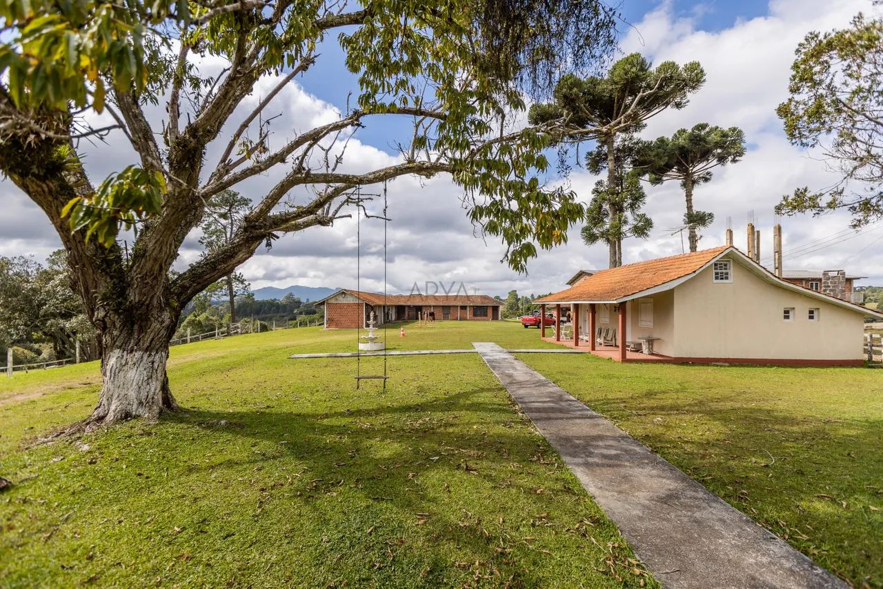 Haras em Piraquara - ARYA 1 - Foto 5