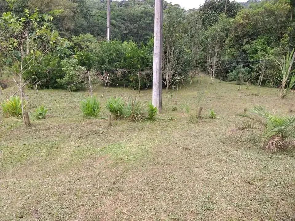 Lindo sítio de 5 hectares sendo 100x500 no bairro Espanha, três riacho Biguacu com casa. - Foto 3