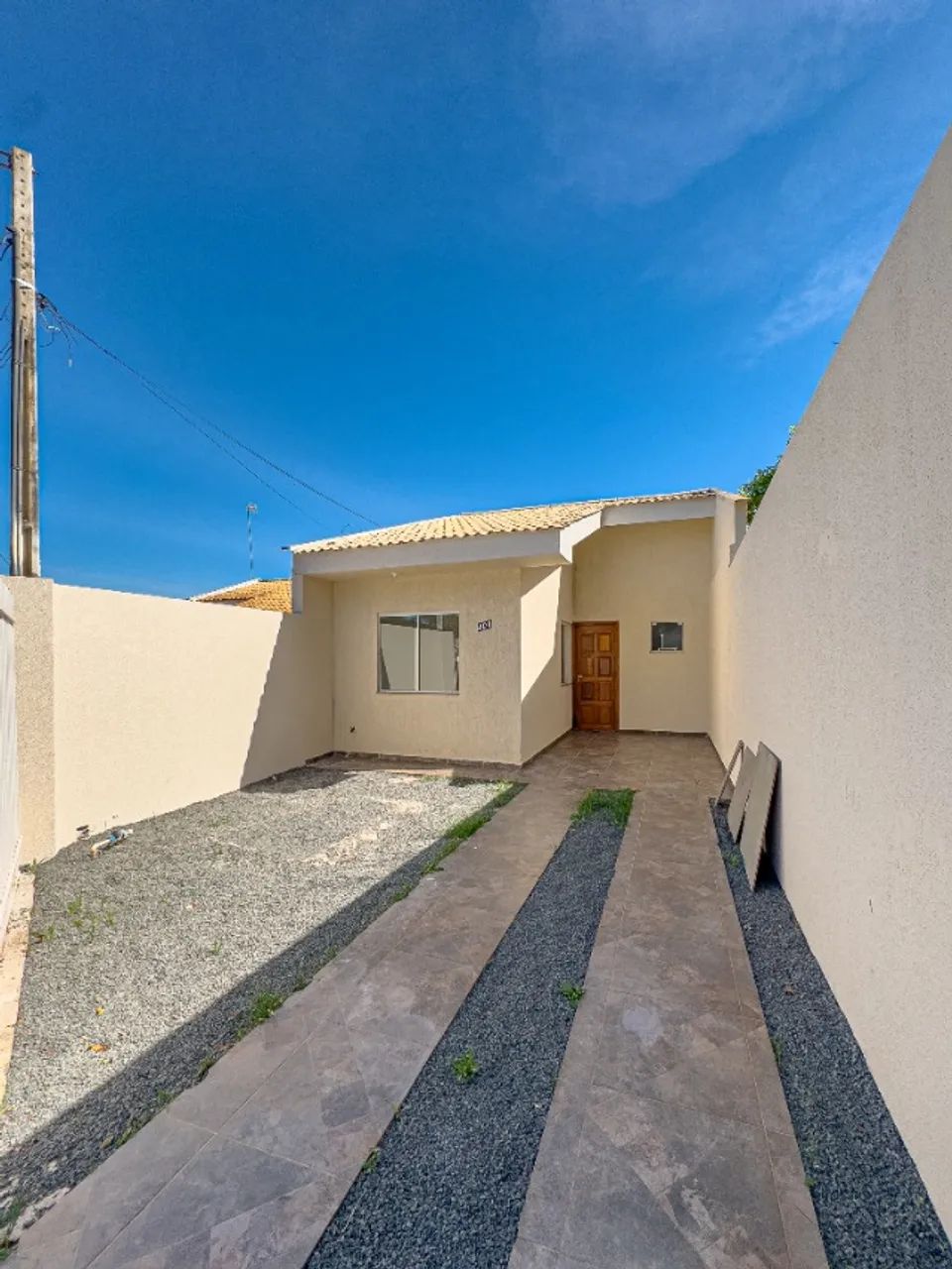 Foto - Ponta Grossa - Cará-cará