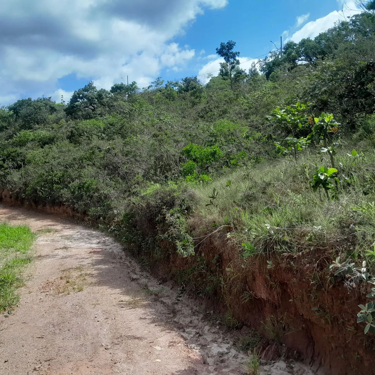 Terreno com vista espetacular em área verde