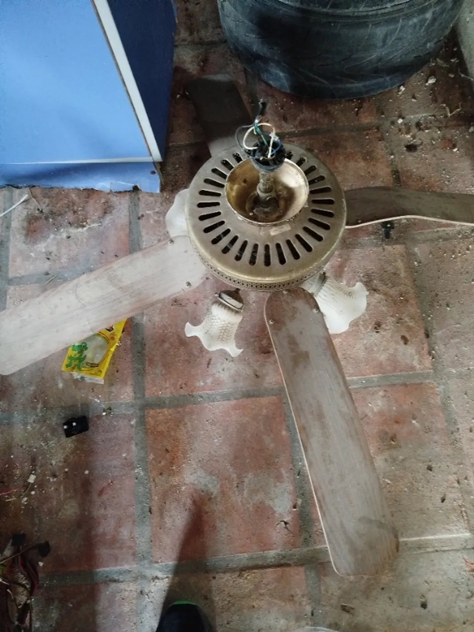 ventilador de teto 110 volts importado