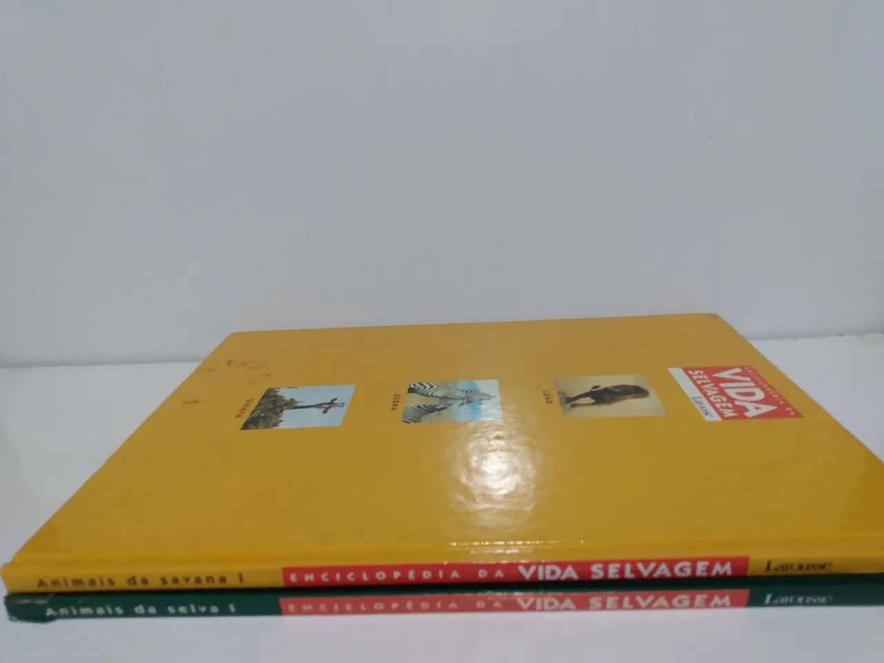 Livros - Enciclopédia da Vida Selvagem - Animais da Selva 1 e Animais da Savana Vol 1 - Foto 2
