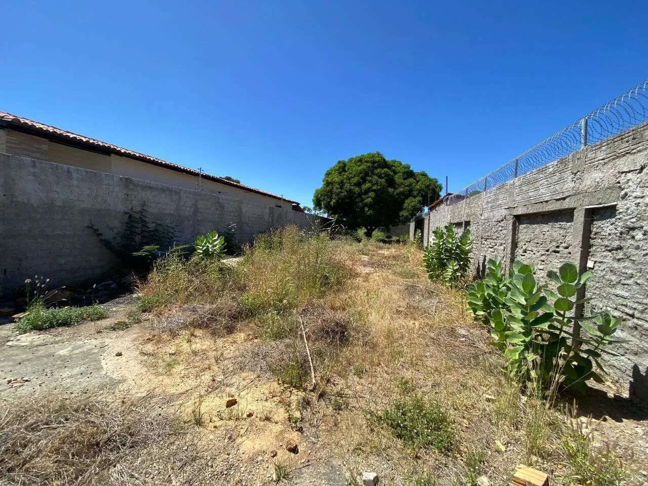 Terreno - Aluguel - Foto 3