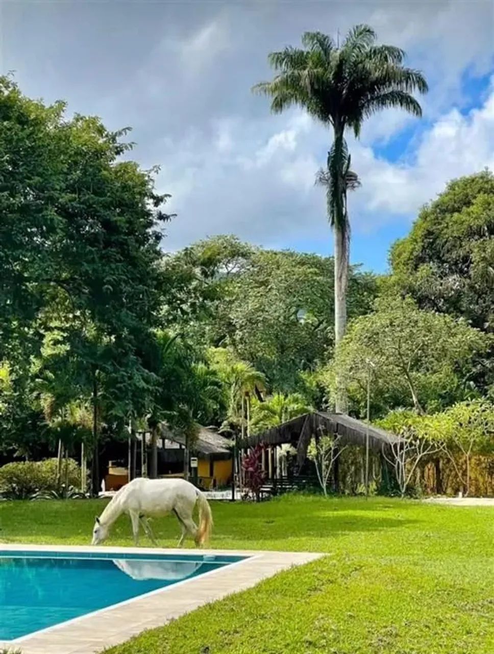 SITIO EM GUARATIBA - Foto 5