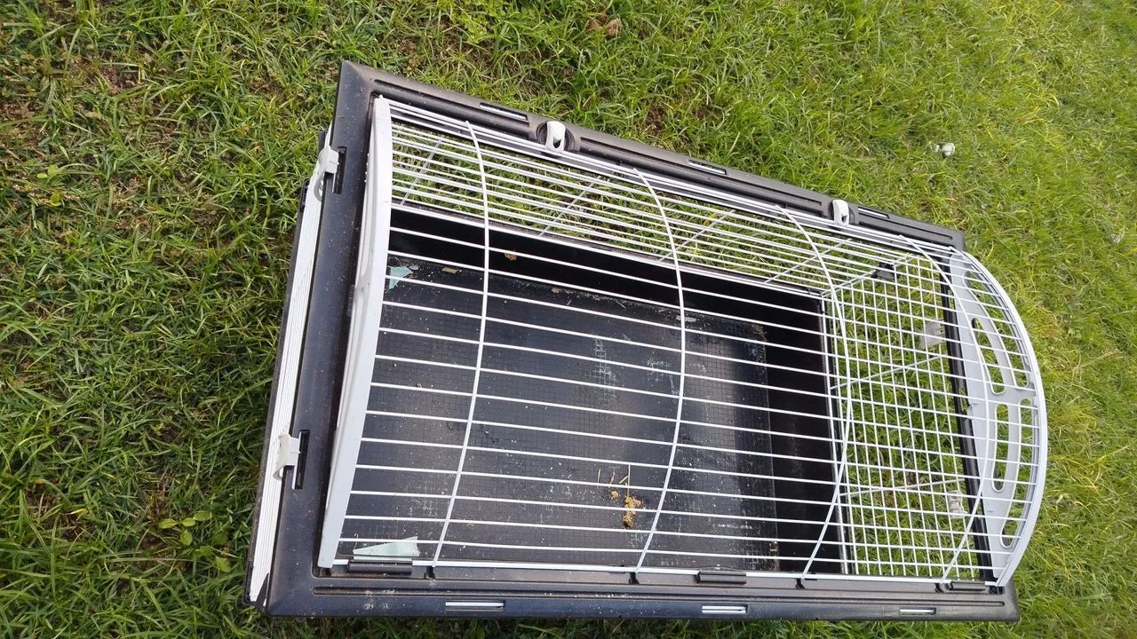 Gaiola de luxo  - Foto 6