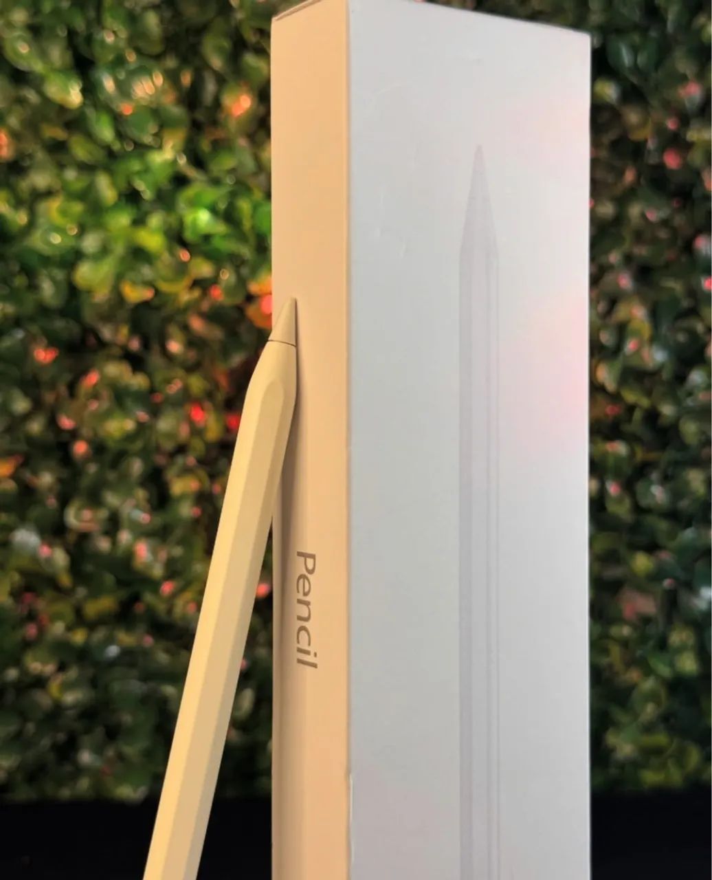 Apple Pencil 264407622924931120