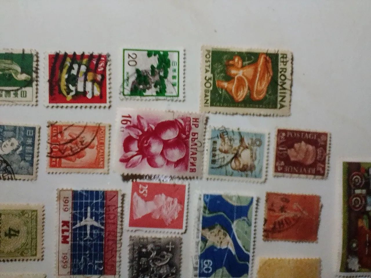 Conjunto de selos de várias partes do planeta  - Foto 4