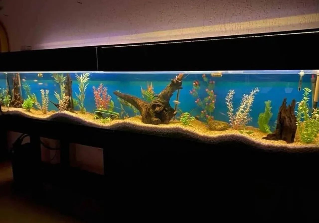 Aquario top 3 metros