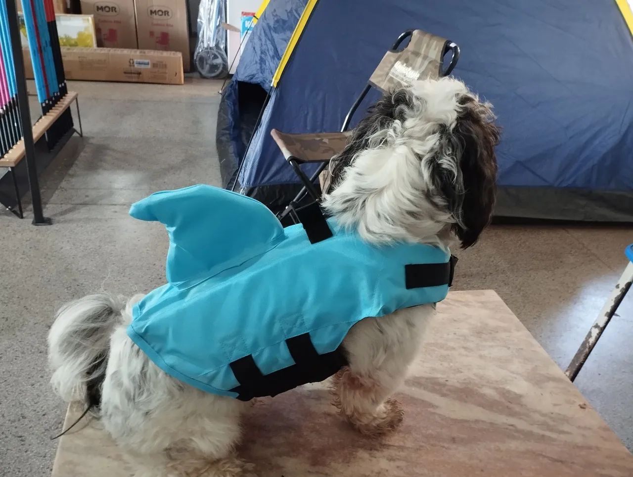 Colete salva-vidas para cachorro - Tamanho P - Foto 4