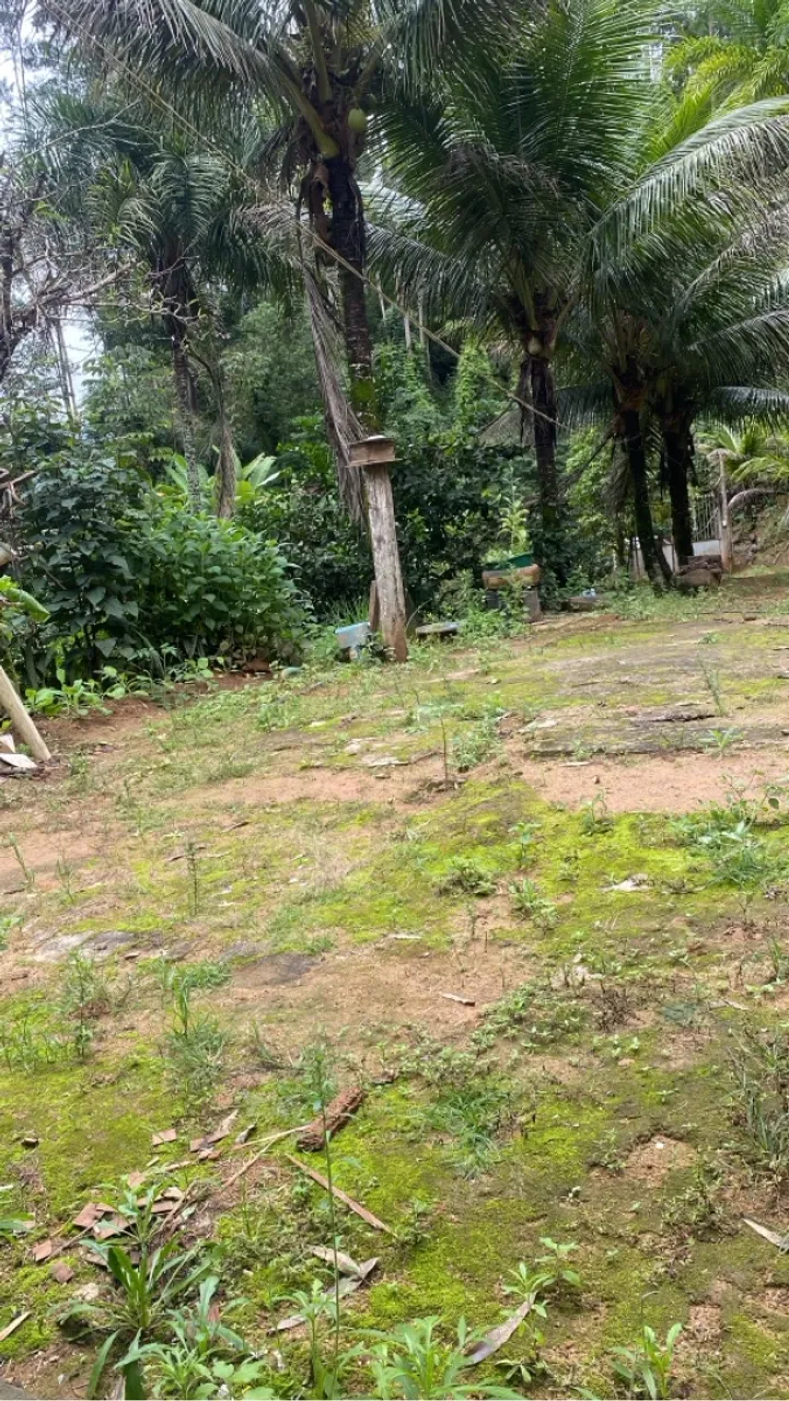 Sítio em Santa Leopoldina