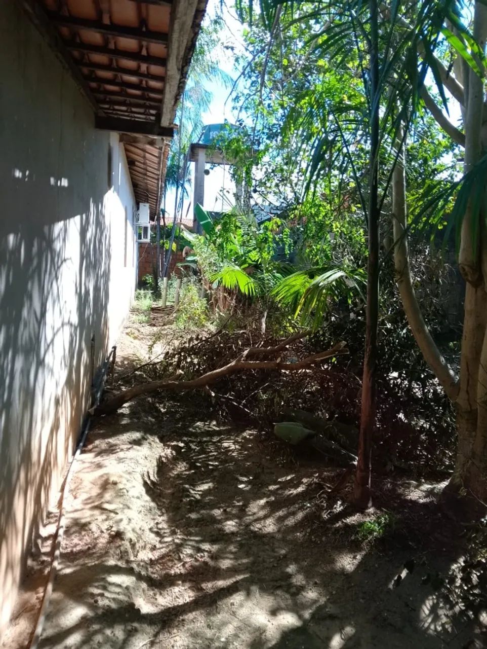 CASA COM QUINTAL AMPLO - 830m² EM BOM JESUS DO TOCANTINS (PA) - Foto 5