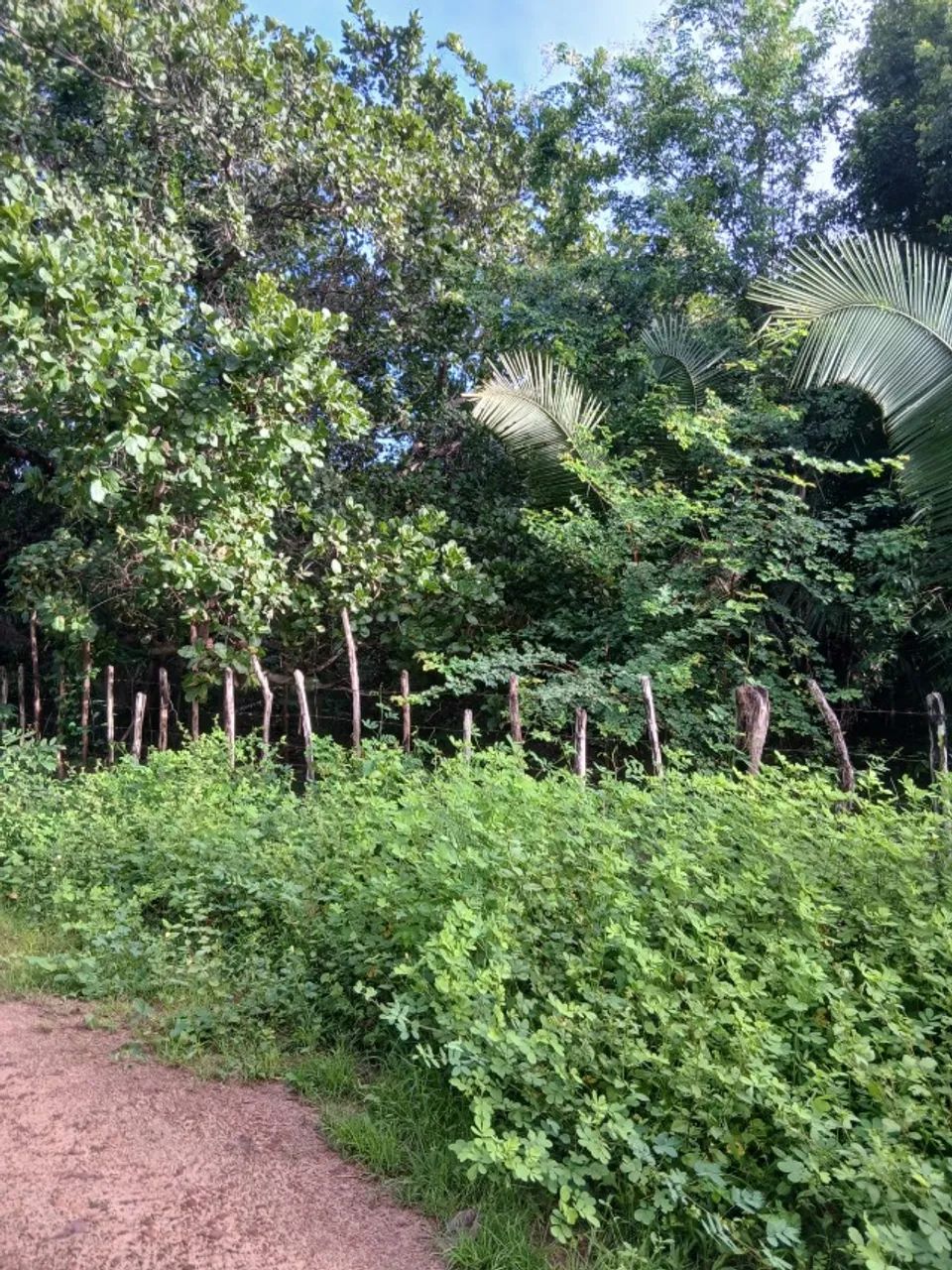 Foto - Teresina - Área Rural de Teresina