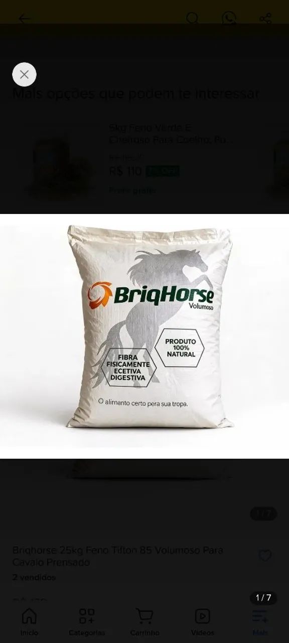 BriqueHorse 
