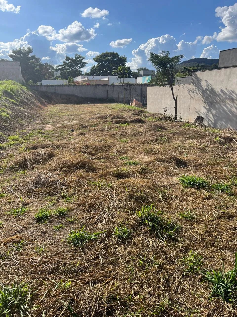 Foto - Belo Horizonte - Coração Eucarístico