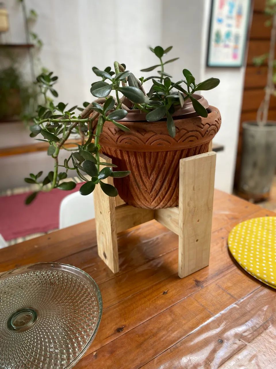 Suporte vaso e planta  - Foto 5