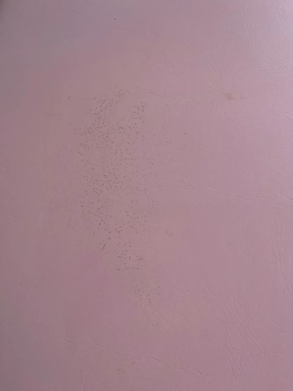 Maca (maleta ) - Foto 4