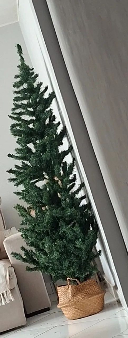 Árvore de natal 