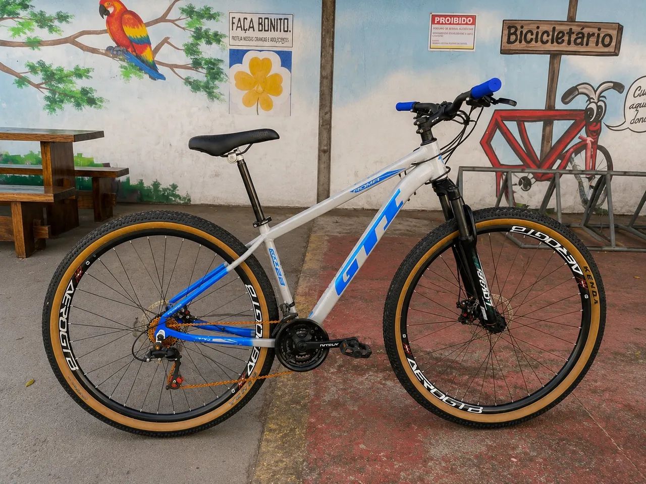 Bk aro 29