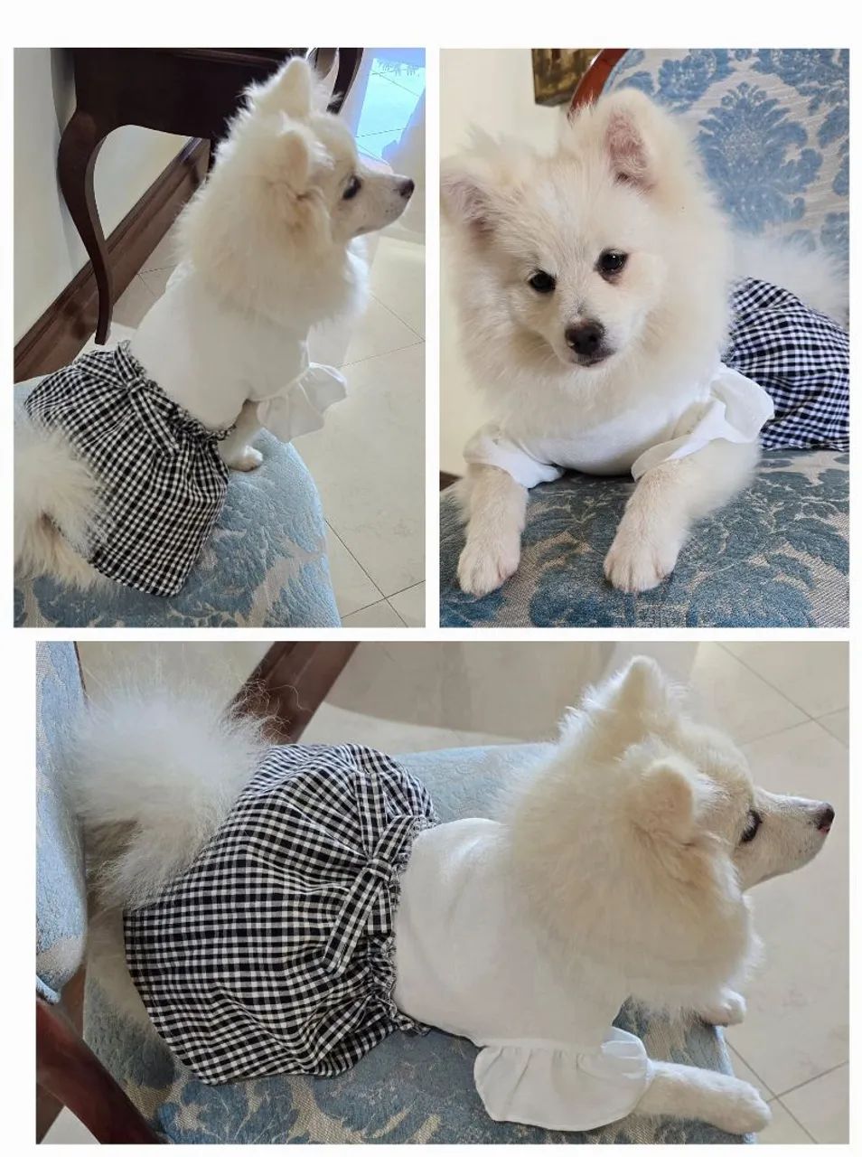 VESTIDO para PET - Foto 2