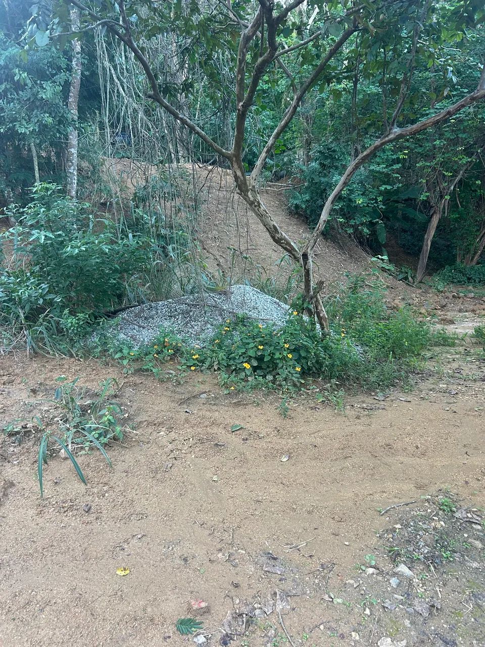 Vendo terreno de 900m quadrados - Foto 3