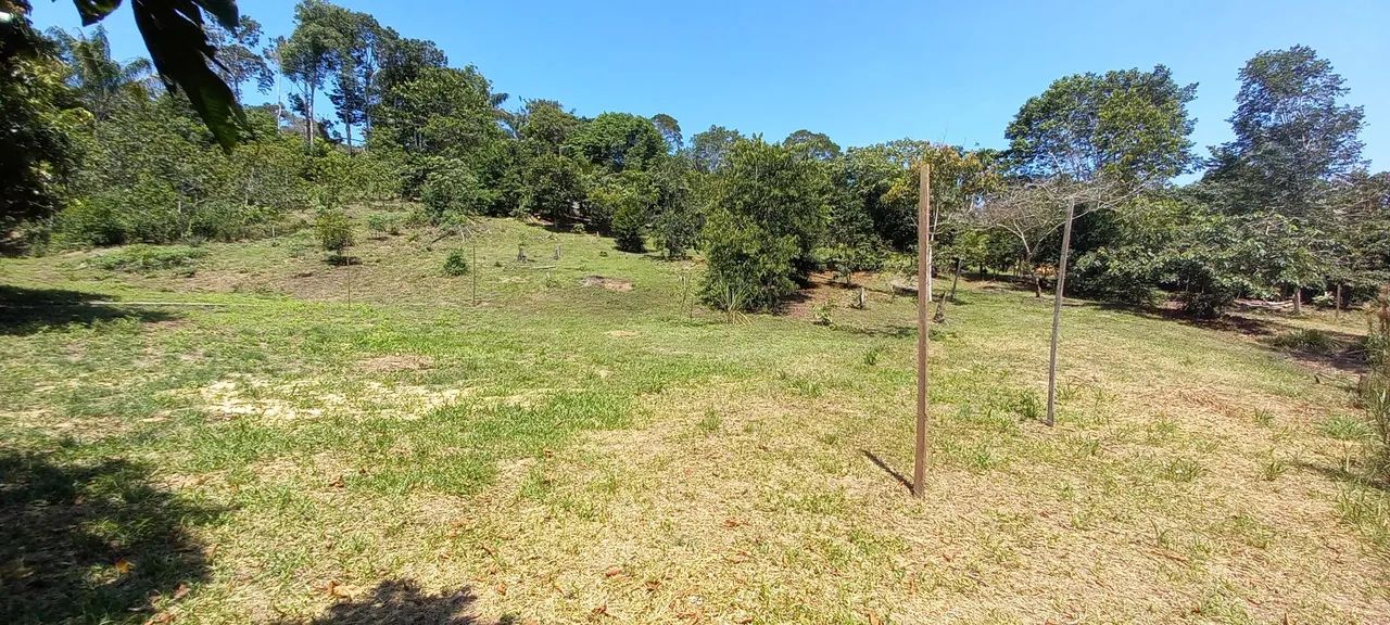 Sítio com igarapé  - Foto 3
