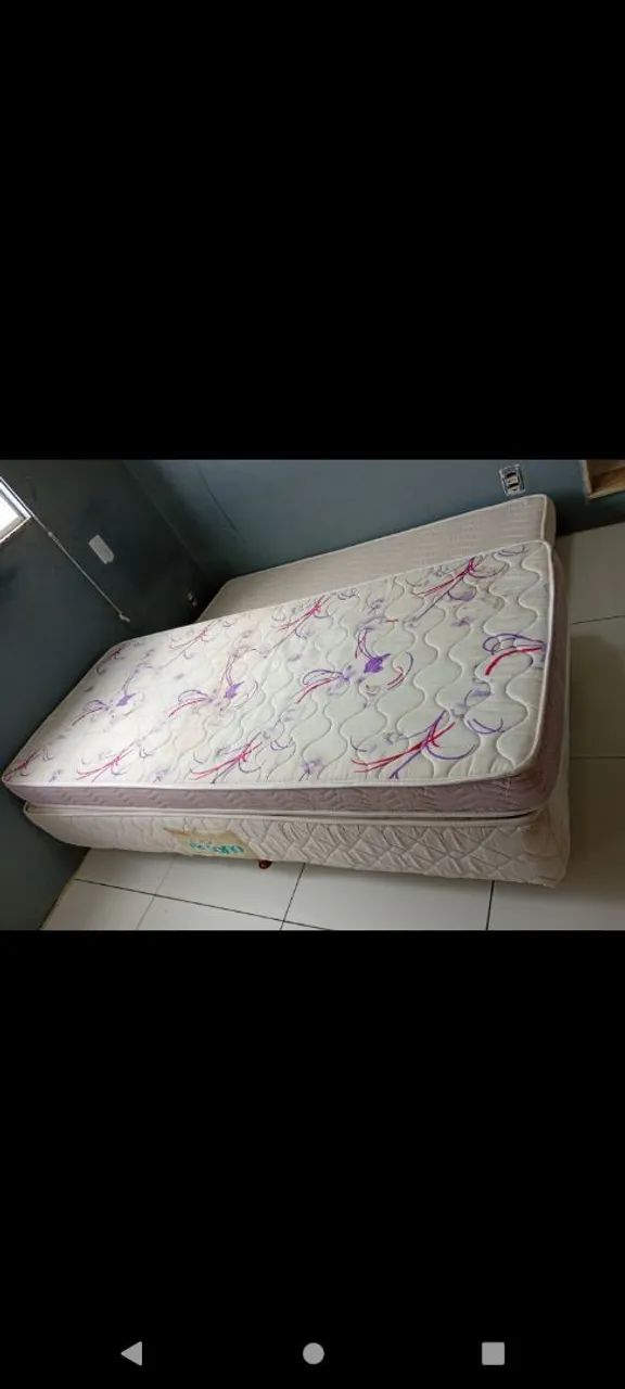 BICAMA  - Foto 2