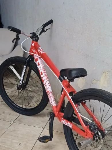Gios vermelha  - Foto 2